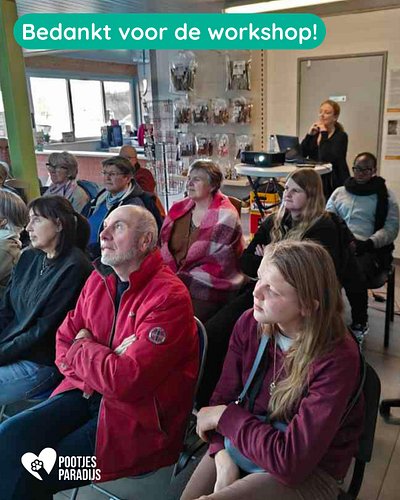 Twintig paar ogen en één grote aha erlebnis 🐾

Wat was het een fijne voormiddag in het Pootjesparadijs. Onze vrijwilligers do...