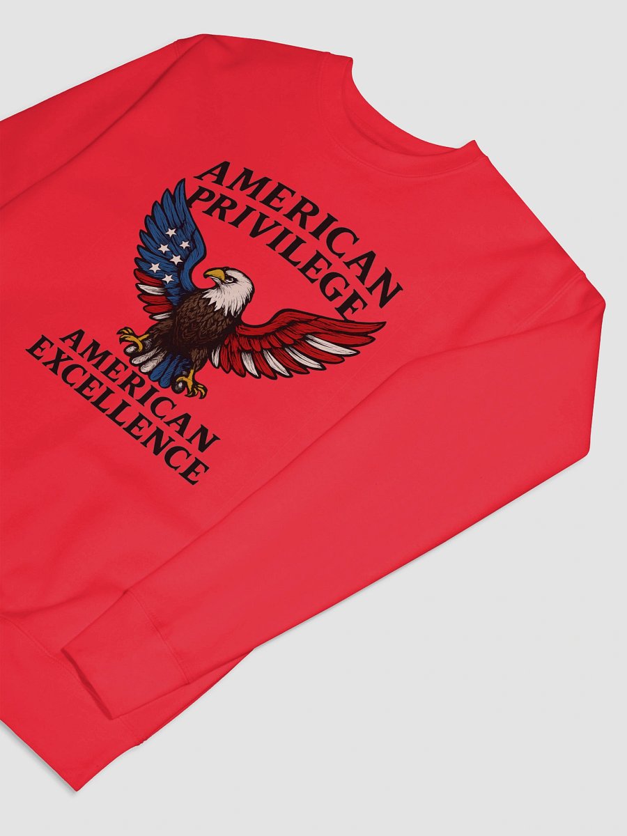 American Pride Patriotic Sweatshirt product image (21)