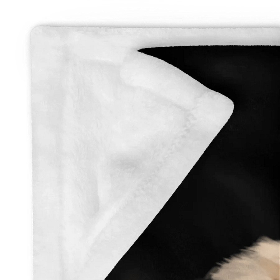 Heckin Good Boi Blanket product image (12)