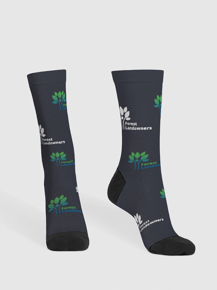 FLA logo socks product image (2)