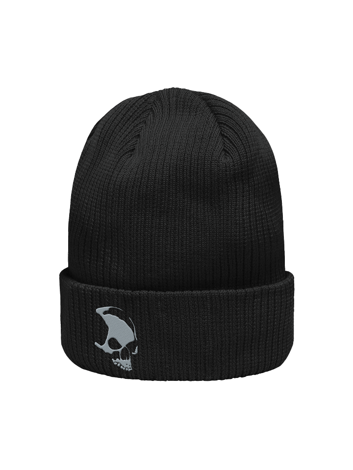 Armada Skull Organic Ribbed Beanie product image (10)