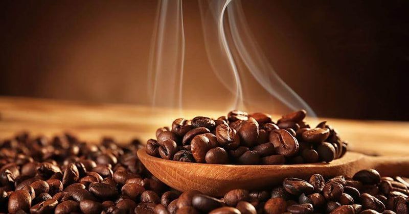 Nilgiri Coffee product image (3)