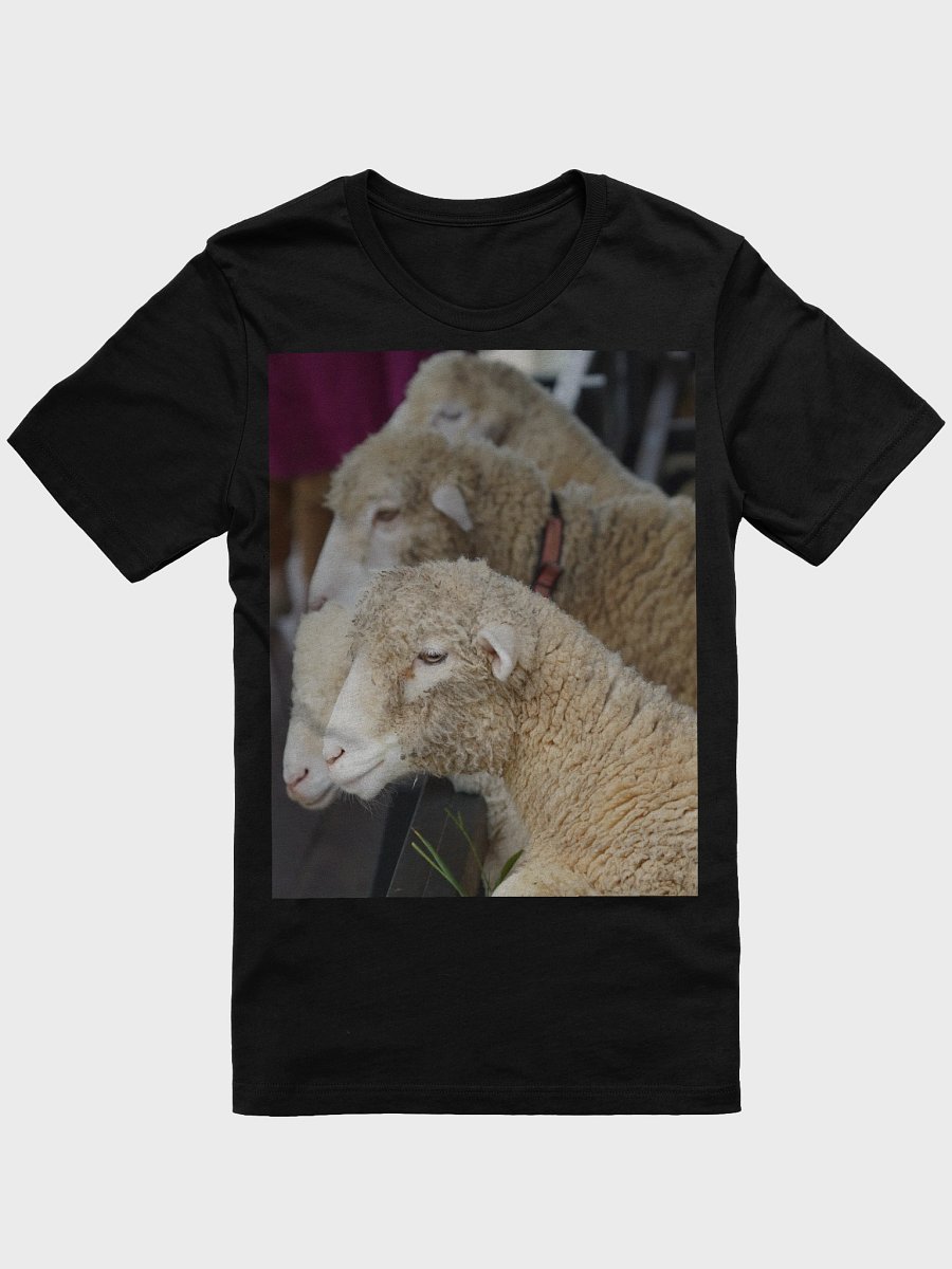 Curly Comfort Sheep T-Shirt product image (1)