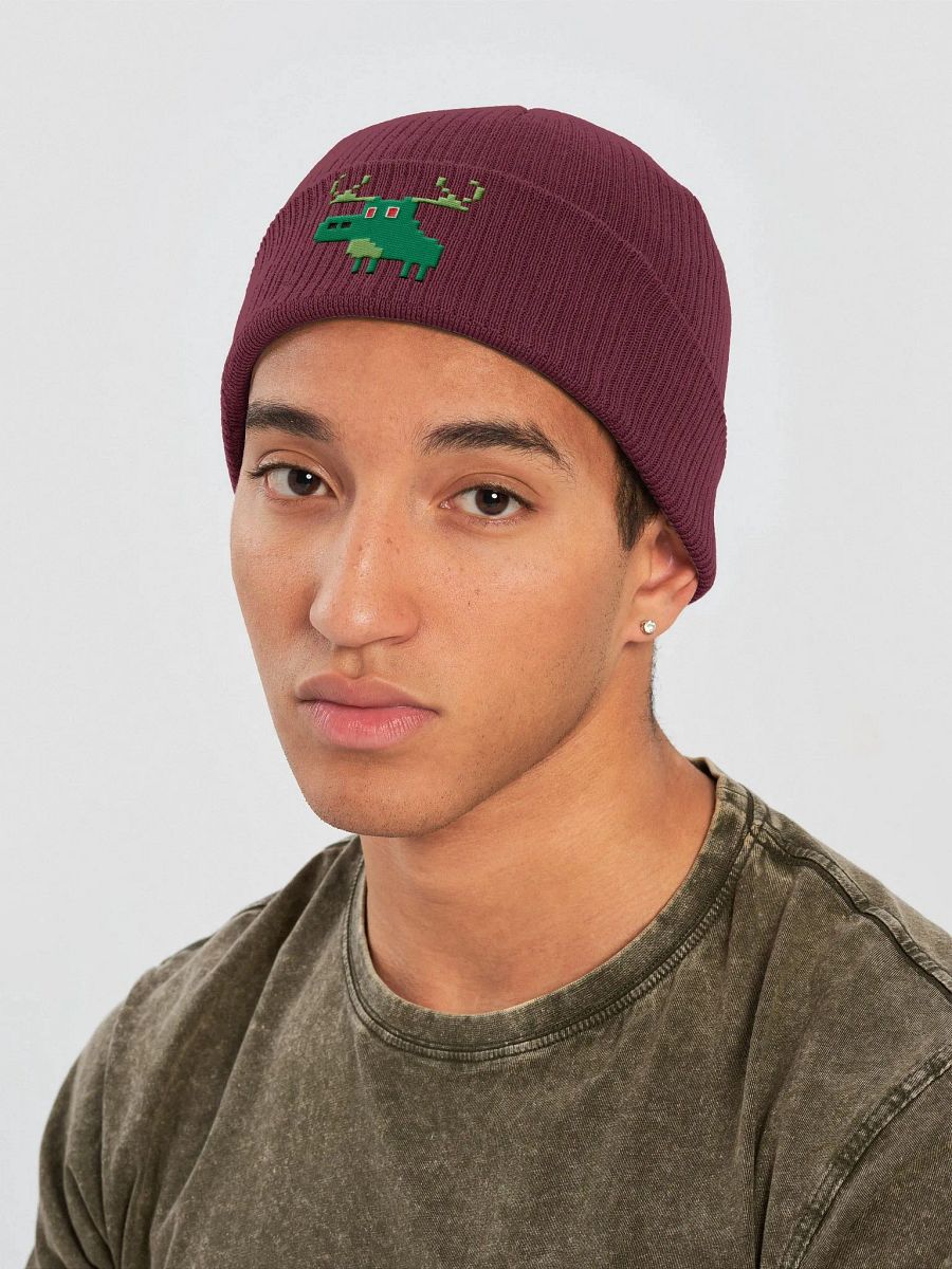 Iconic Green | Embroidered Beanie product image (39)