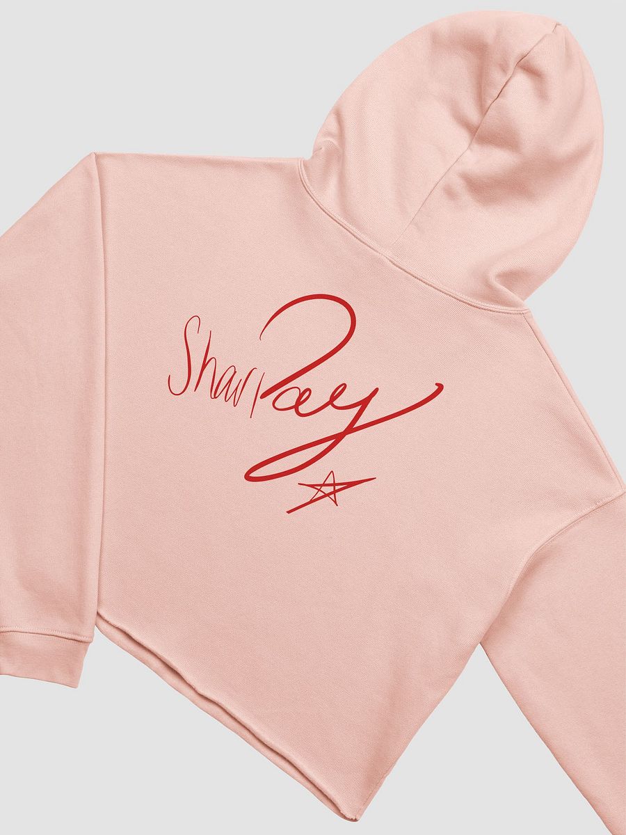 sharPAY Cropped Hoodie product image (5)
