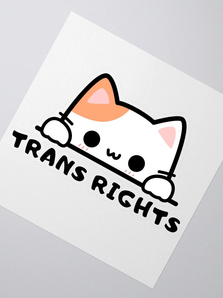 Trans Rights Cat Sticker product image (2)