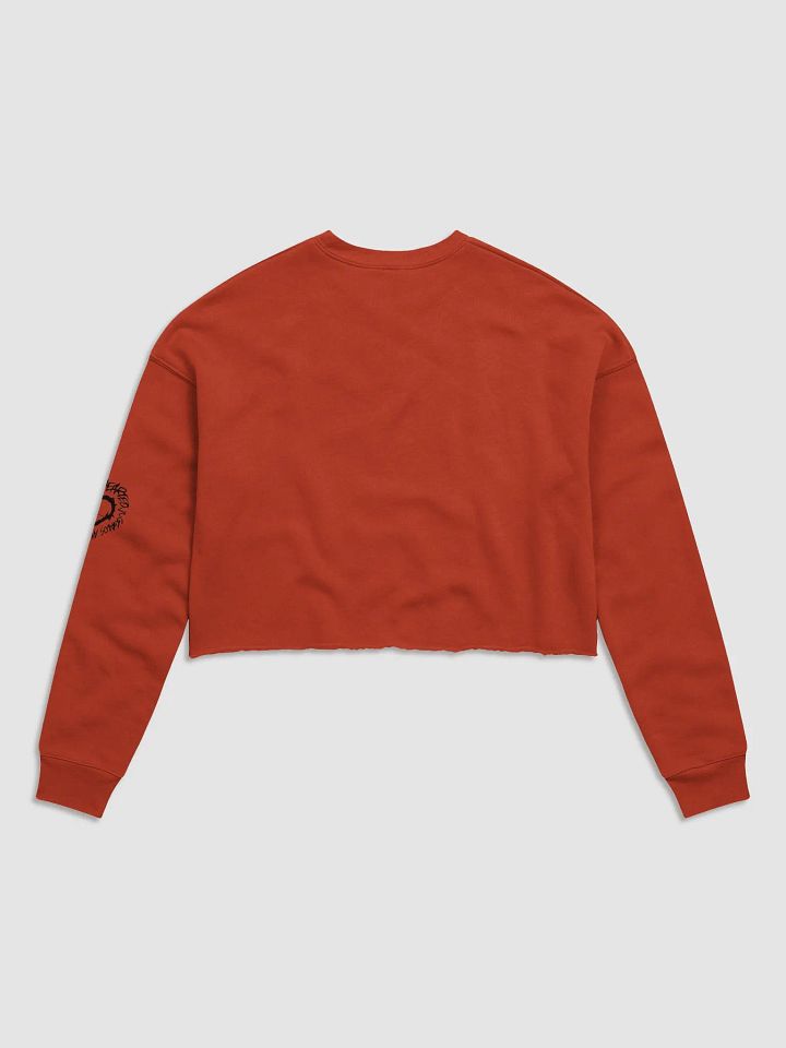 .strife OJARS LOGO CROP TOP SWEATER product image (2)