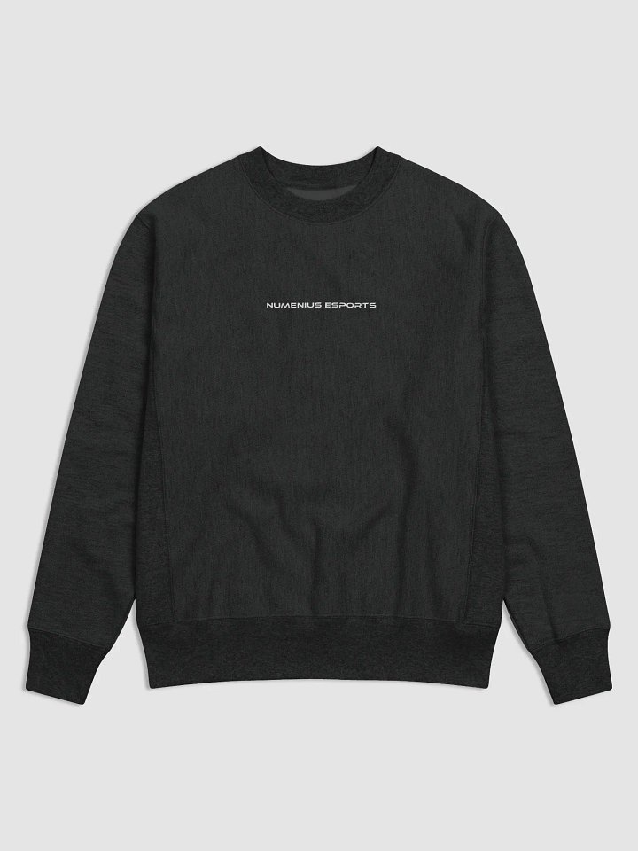 Team Meridian Sweater product image (1)