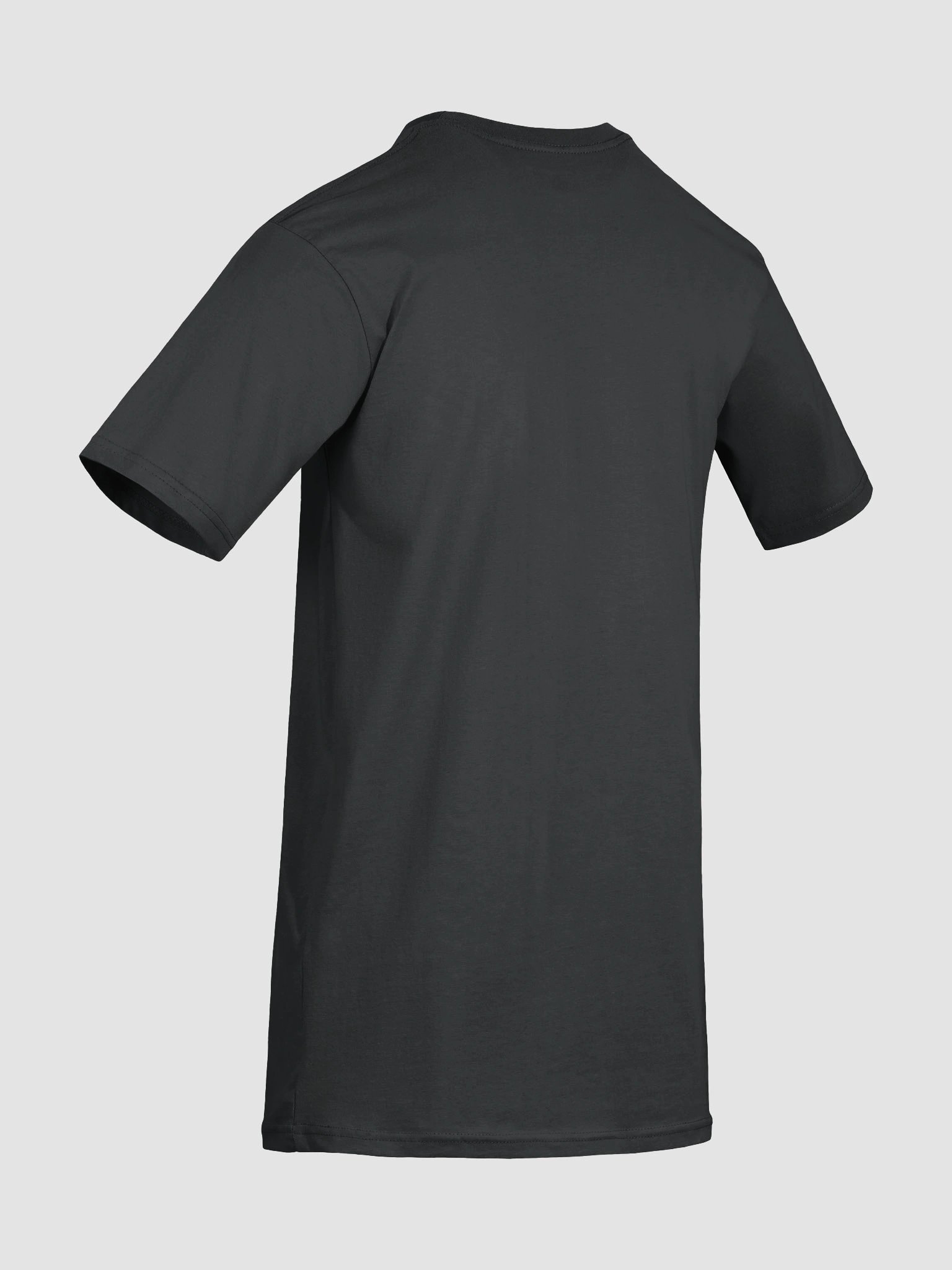 Rome Reborn Heavy Tee product image (30)