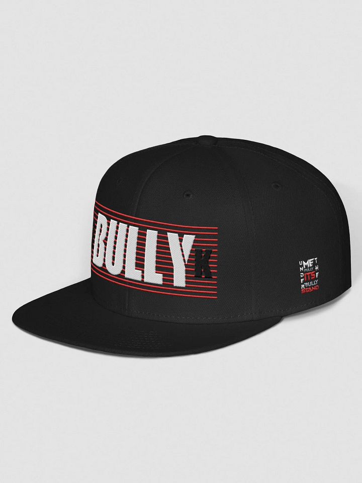 DKBULLY LIMITED EDITION HAT product image (2)