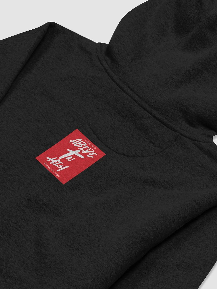 Abide In Him Christian Clothing - All Hail King Jesus Premium Hoodie product image (4)