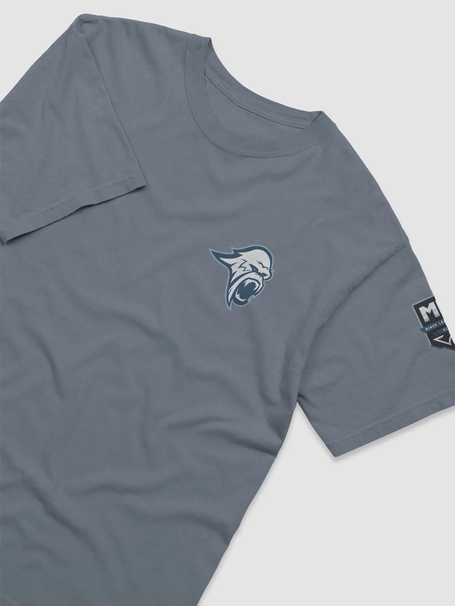 Blizzard Team Badge T-Shirt product image (19)