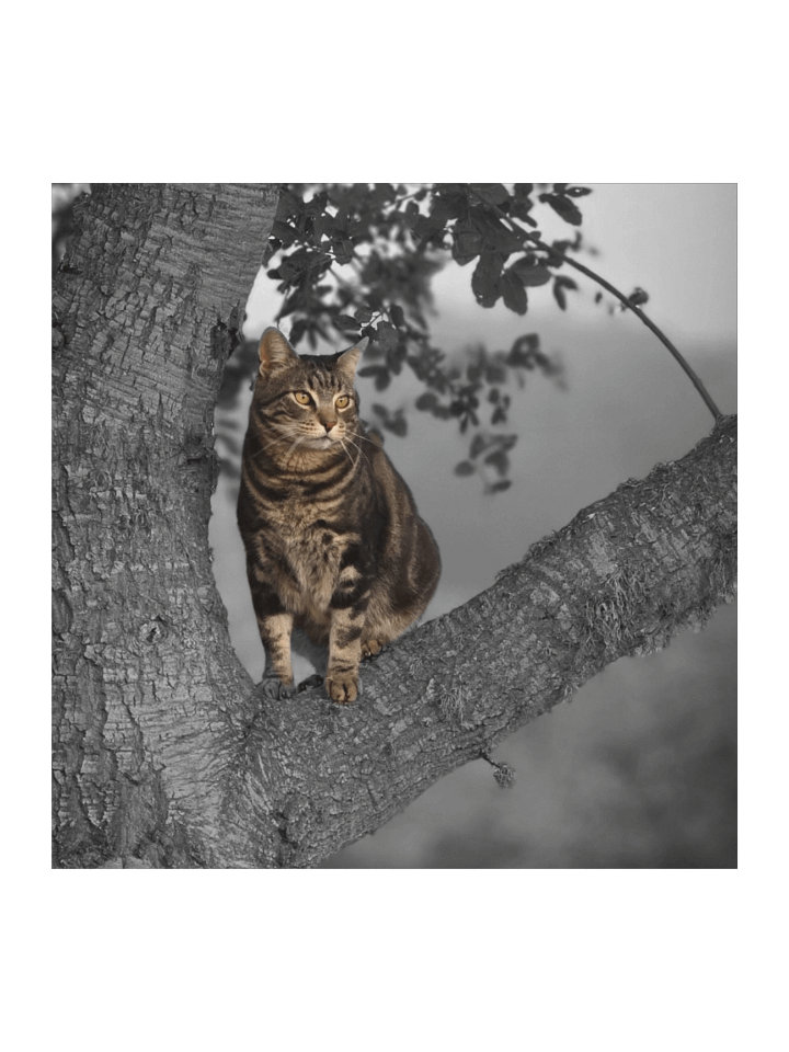 Whiskered Wanderlust Stickers product image (2)