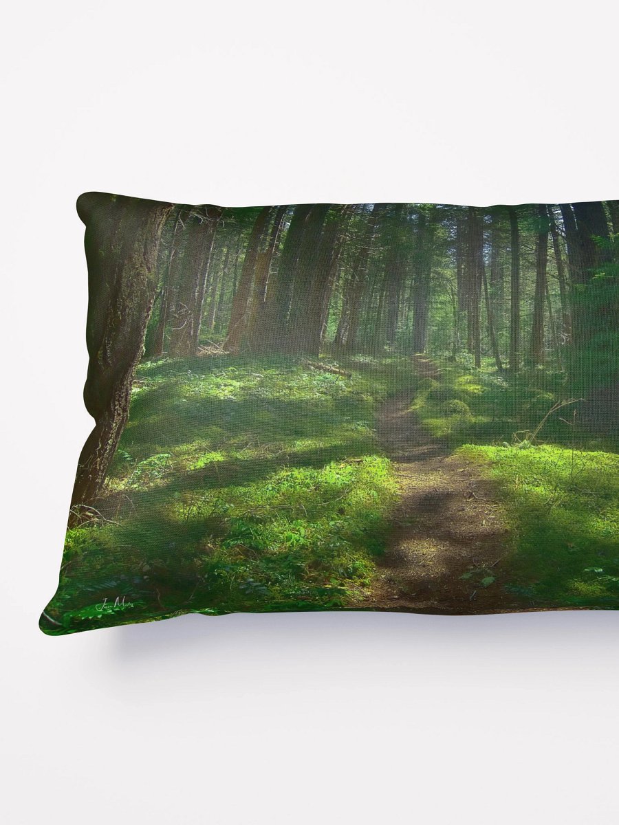 Lower Dungeness Trail Timber sun lighting Pillow product image (8)