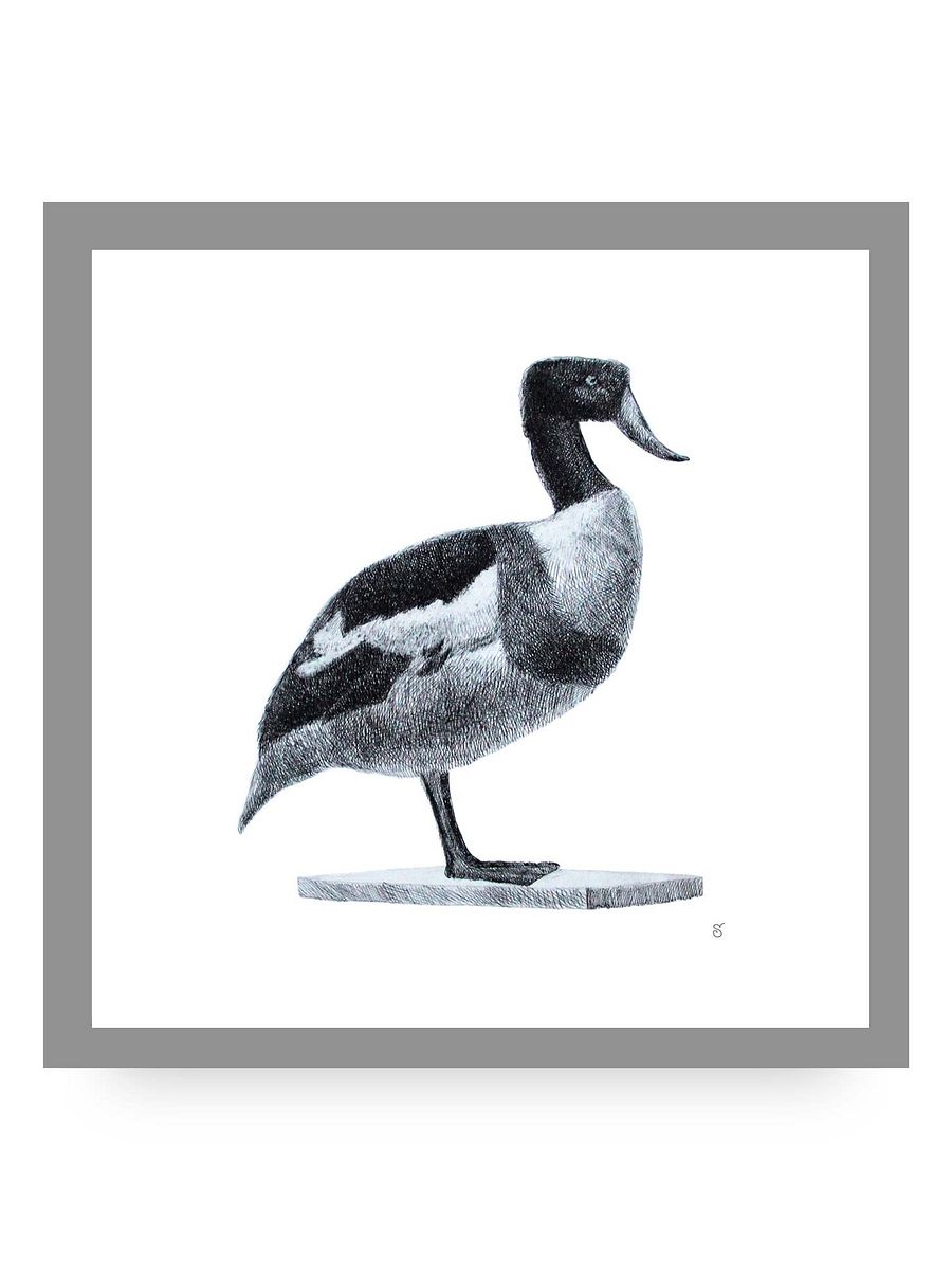 Blank Canvas: Unleash Your Artistic Vision - Duck product image (10)