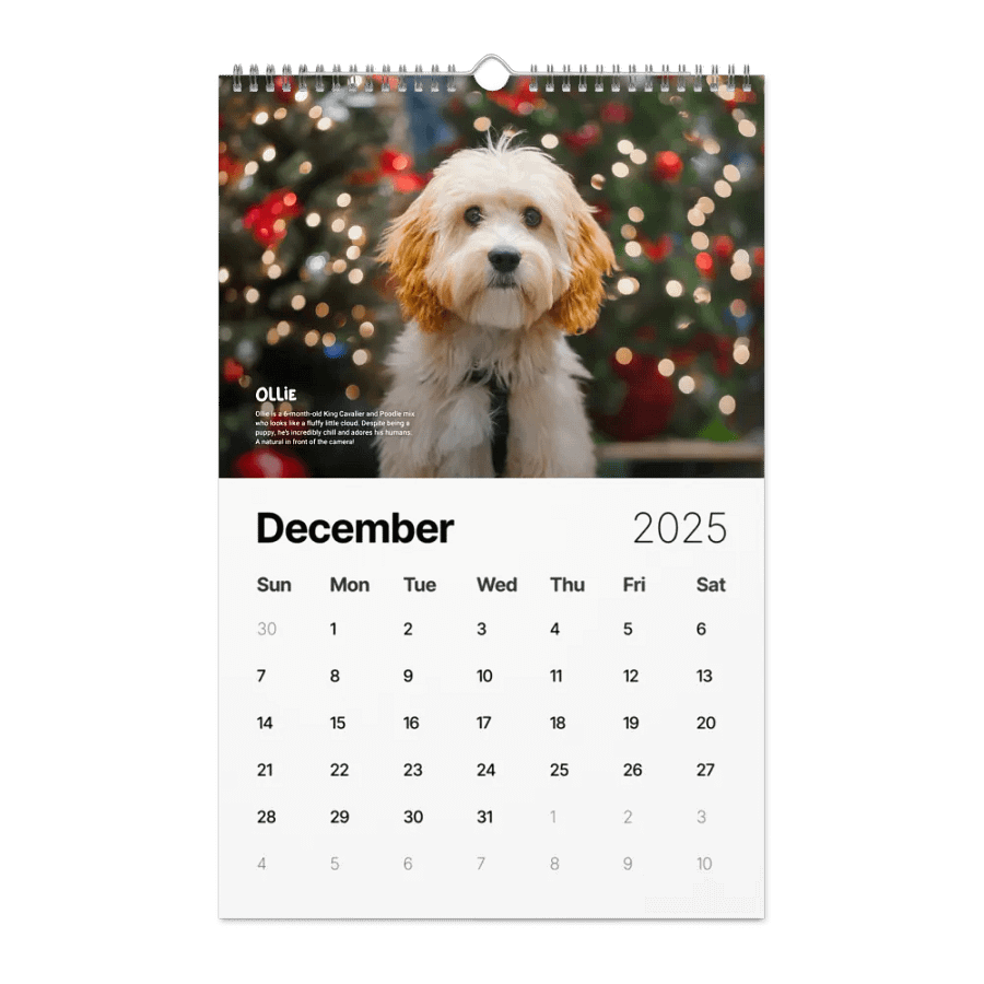 Official 2025 Calendar product image (4)