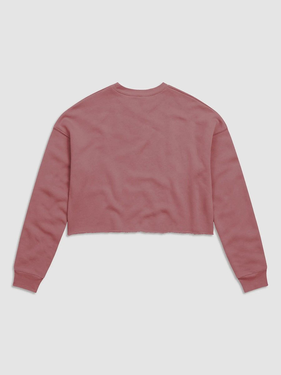 Stockings Cropped Sweatshirt product image (6)