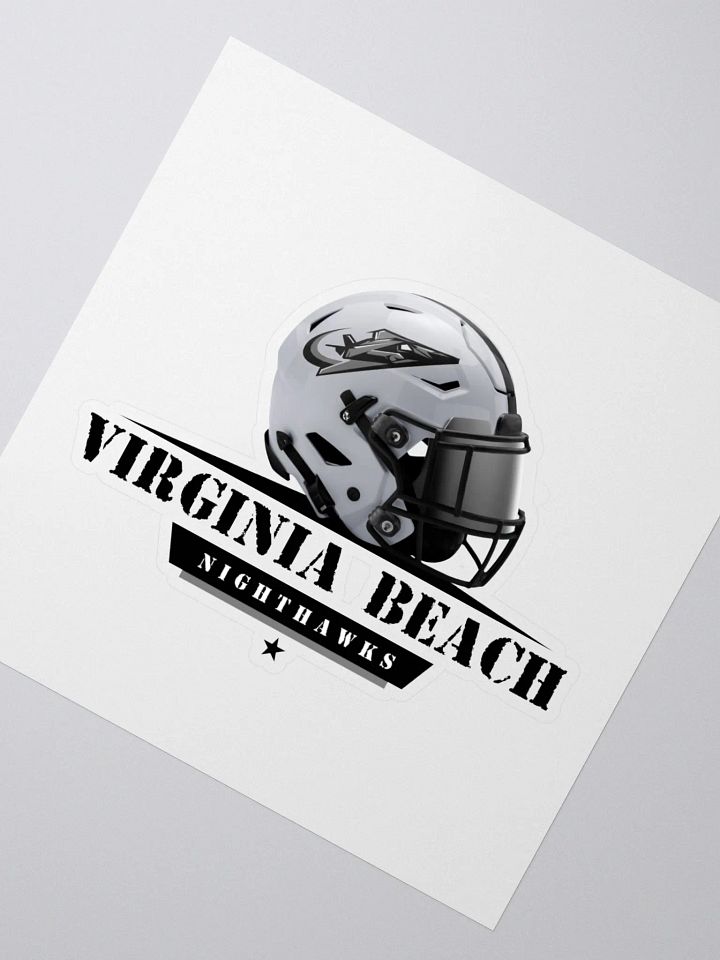 Virginia Beach Nighthawks Stickers product image (2)