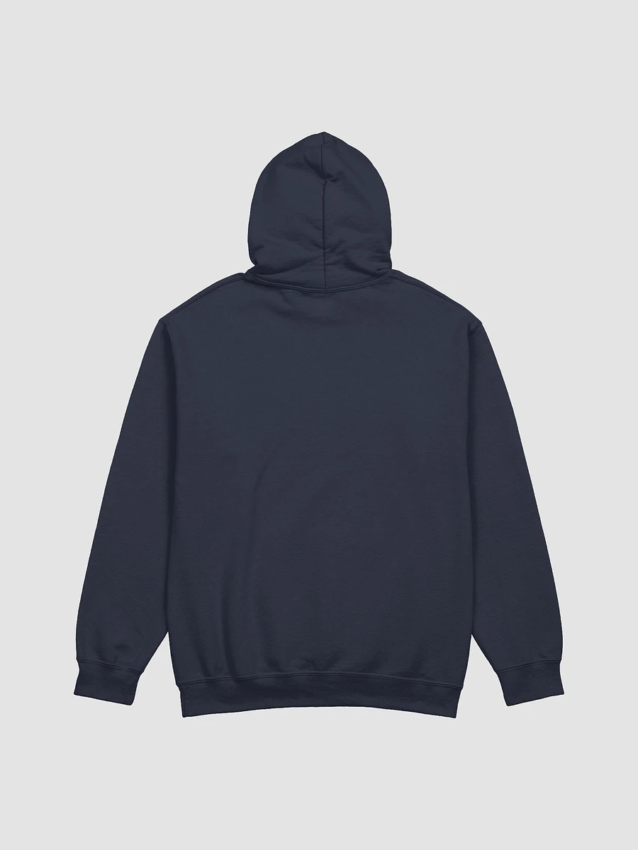ask me about my host classic hoodie product image (21)