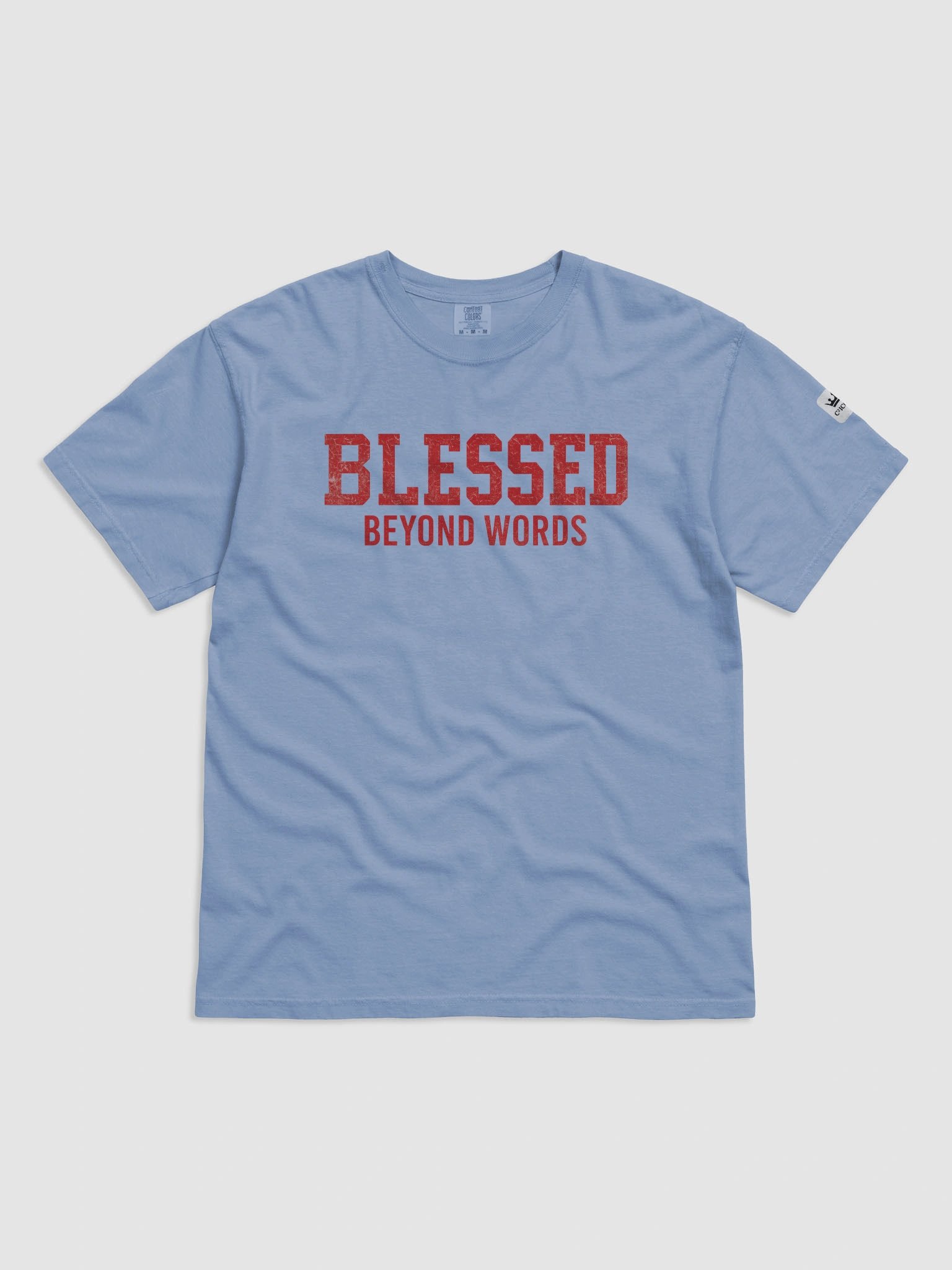 Blessed Beyond Words T-Shirt with Red Graphic product image (1)