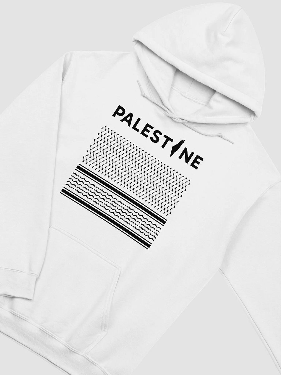 Stealthy Comfort Hoodie product image (9)
