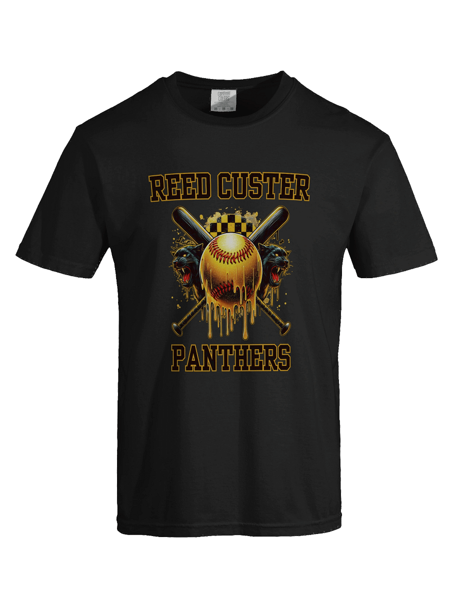 Reed Custer Panthers Baseball T-Shirt product image (1)