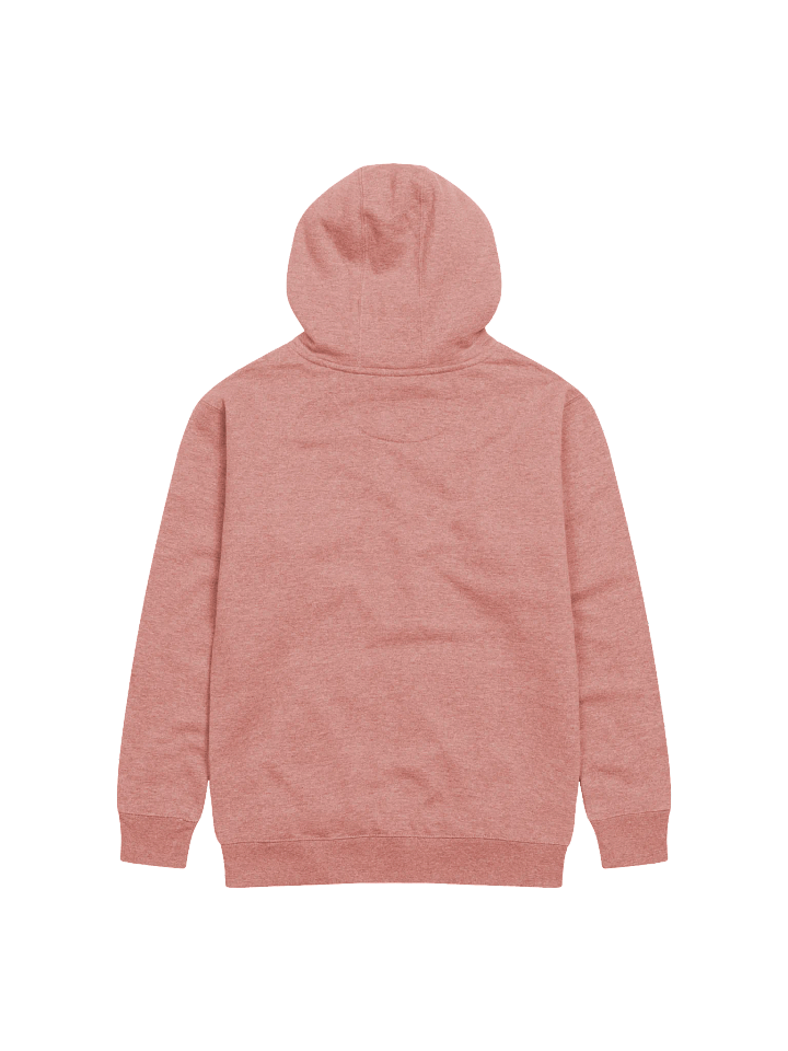 FROGMONEY2025 Palian 1%er Embroidered Hoodie product image (13)