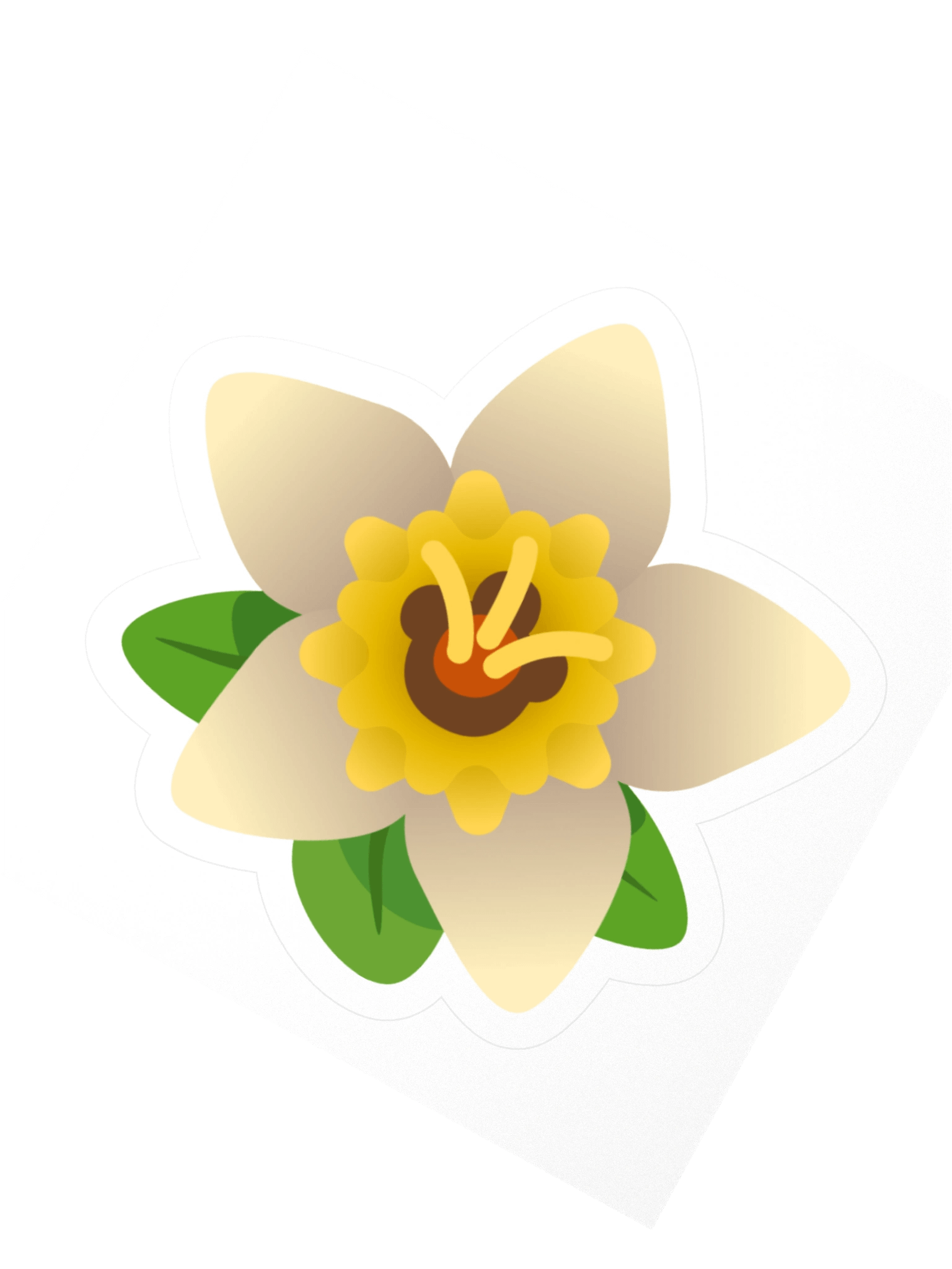 Daffodil product image (2)