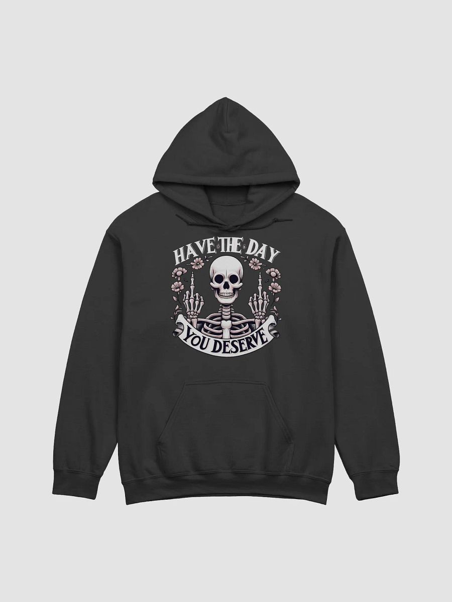 Have the day hoodie product image (1)