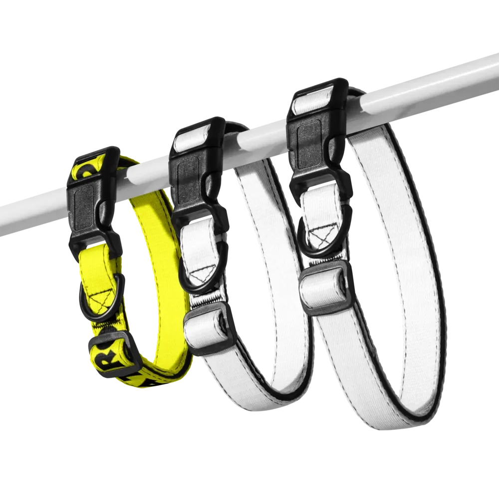 Pet Collar with Heartfelt Words 💛⚫️ Bob's Sniffing Patrol product image (5)