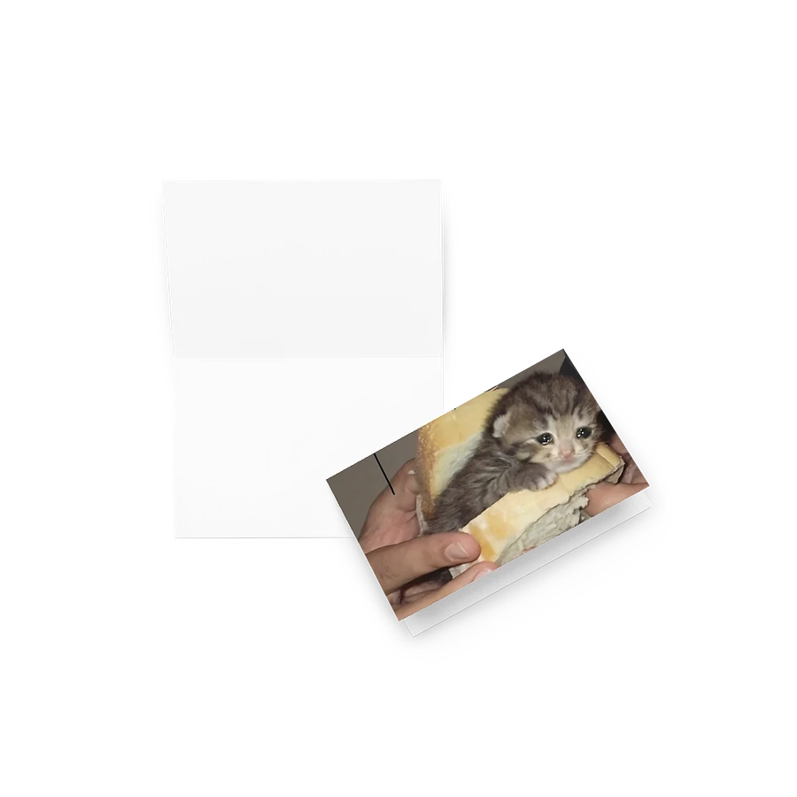 Greeting Card: Meme Cats product image (23)