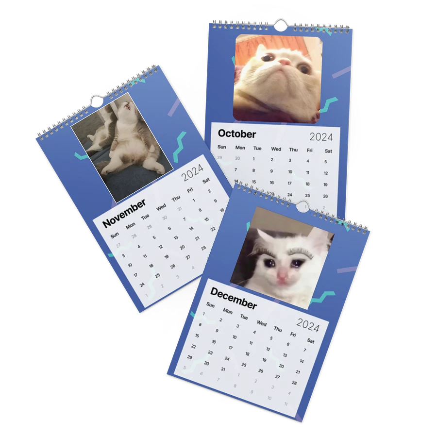 Wall Calendar (2024): Meme Cats product image (17)