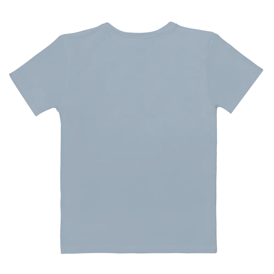 Plain Light Grayish Blue True Summer Women's Crewneck Polyester Heavyweight Premium T-Shirt by Treasure Pie product image (9)