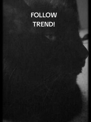 How many likes, comments, and follows can we get? Teamwork! We will follow you back! ❤️ #teamwork #followtrend #engagement 