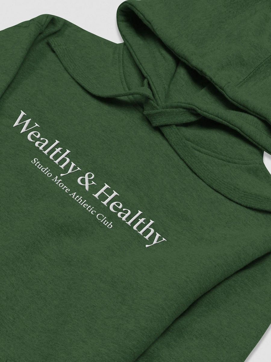Wealthy & Healthy - Embroidered Hoodie product image (7)
