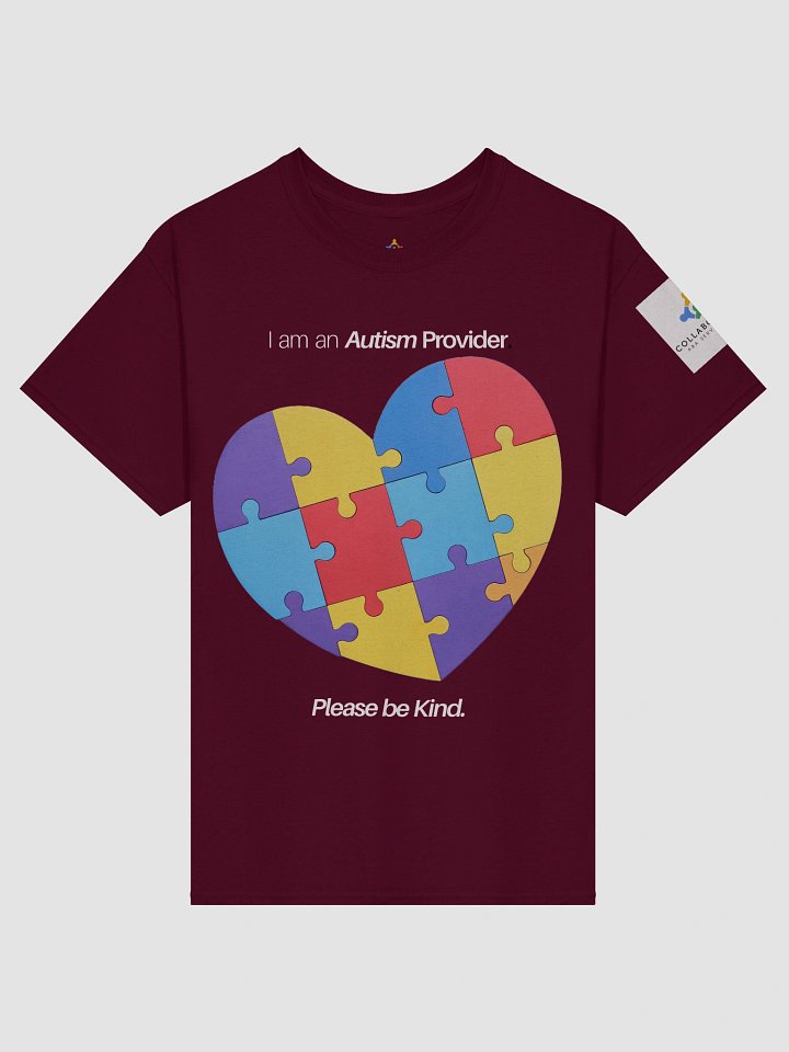 I am an Autism Provider Please Be Kind T-Shirt product image (3)