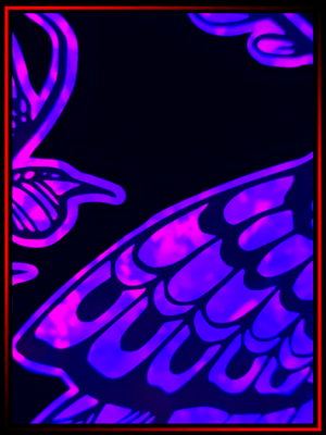 Deathead Moth product image (2)
