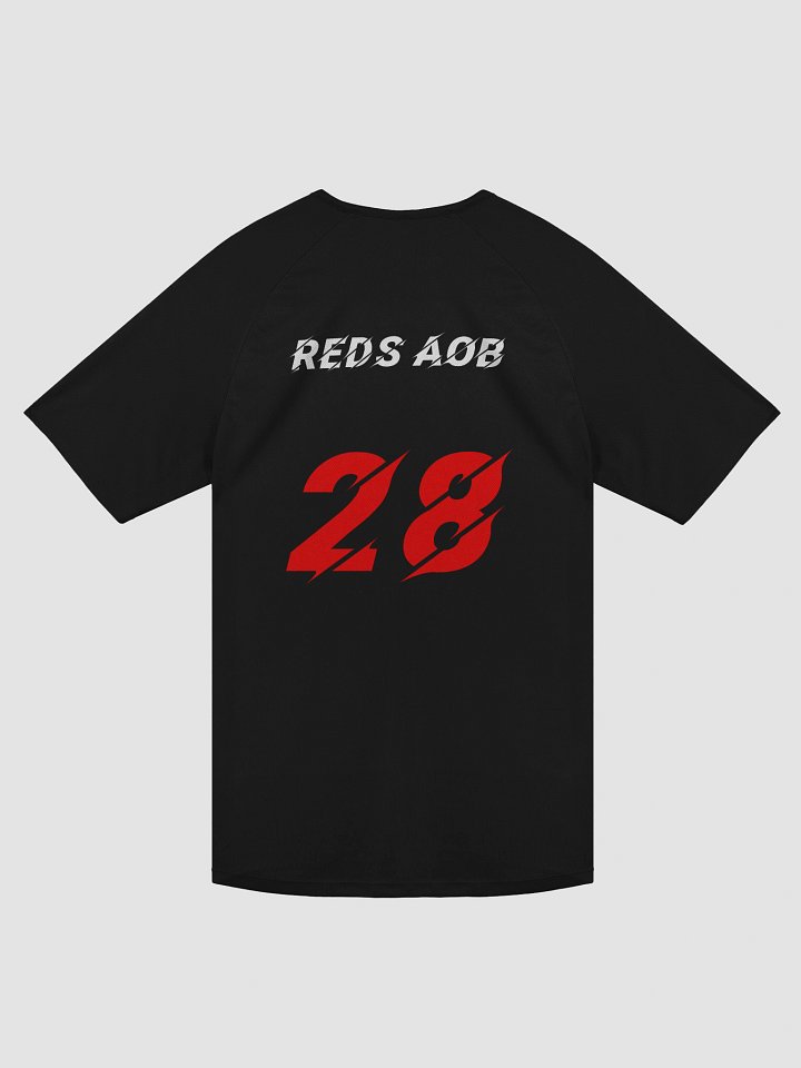 REDS AOB No.28 product image (2)