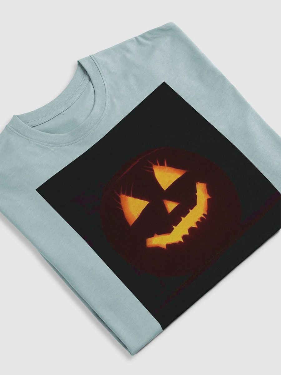 cotton heritage unisex premium tee product image (32)