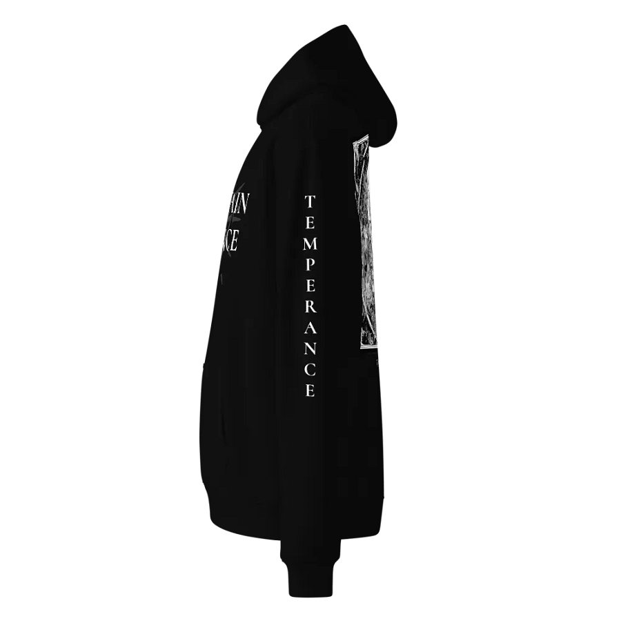 14 - Temperance Oversized Hoodie product image (3)