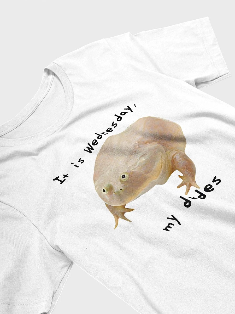 Wednesday Frog Tee (Bella+Canvas 3000) product image (3)
