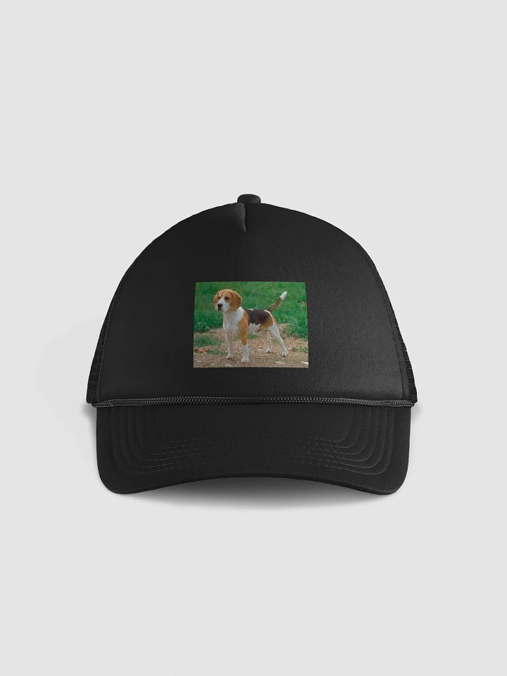hunting beagle product image (2)