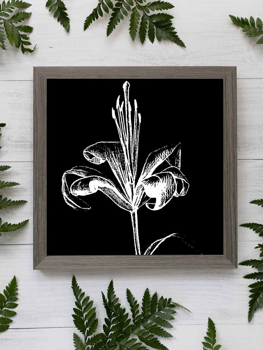 Lily Bloom Canvas Art - Fine Flower Dark product image (6)