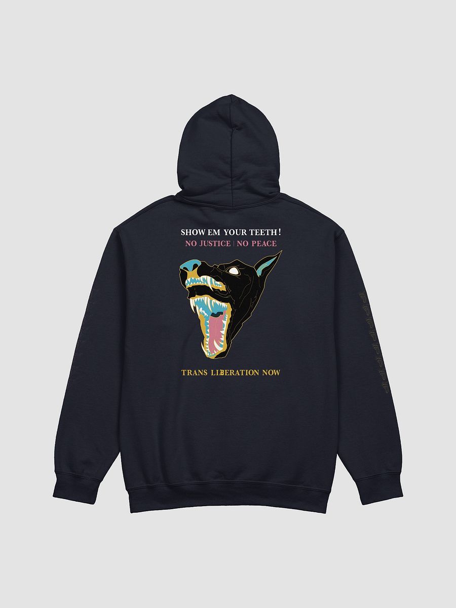 Show Em hoodie 2 product image (2)
