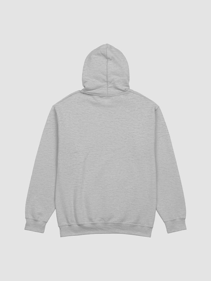 Rick Davoice Living in a Mystery Hoodie product image (2)