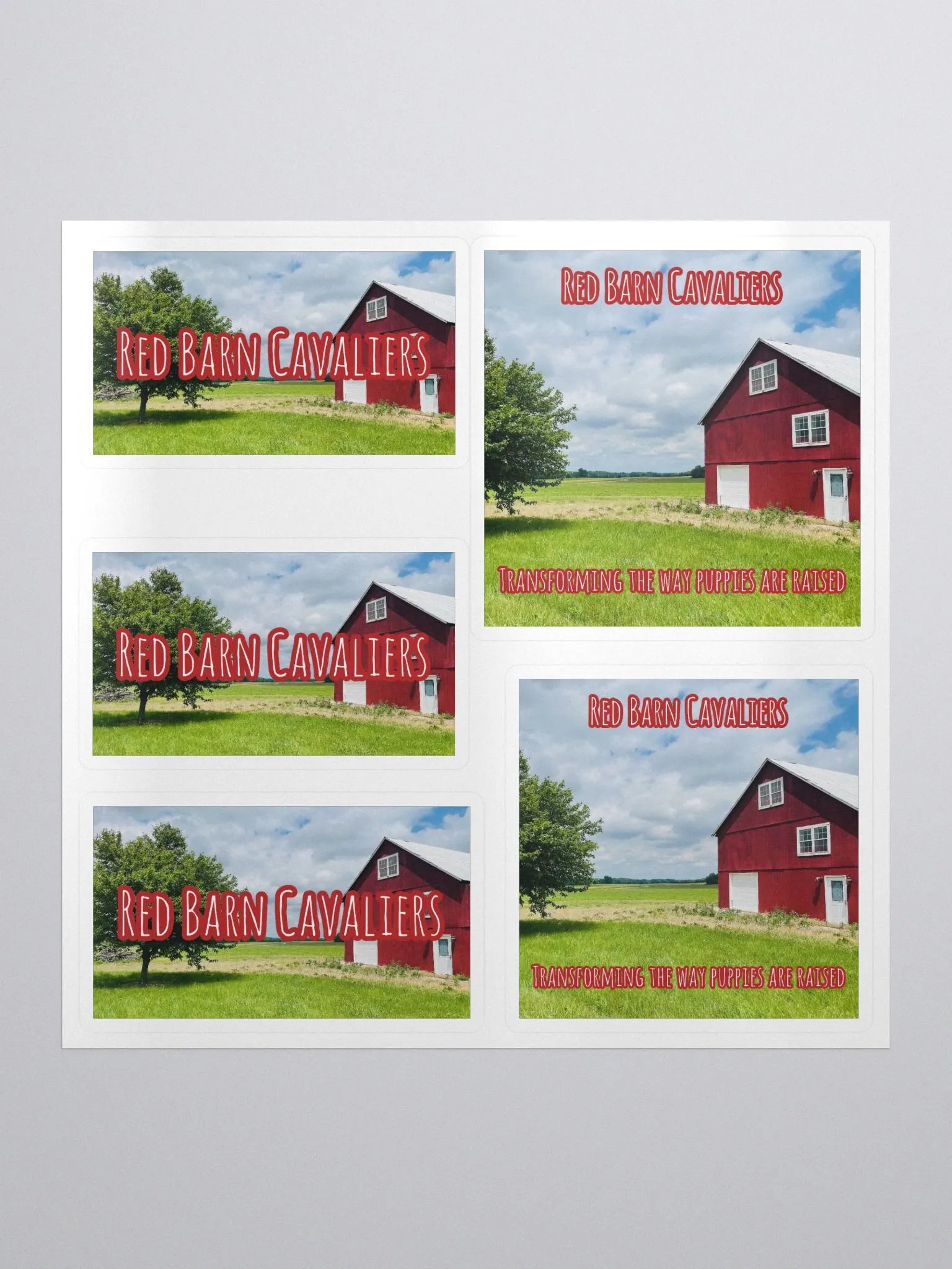 RBC Logo Sticker Set product image (2)