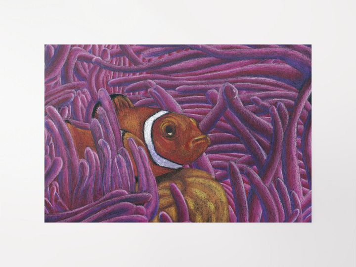 Clown Fish Print product image (7)