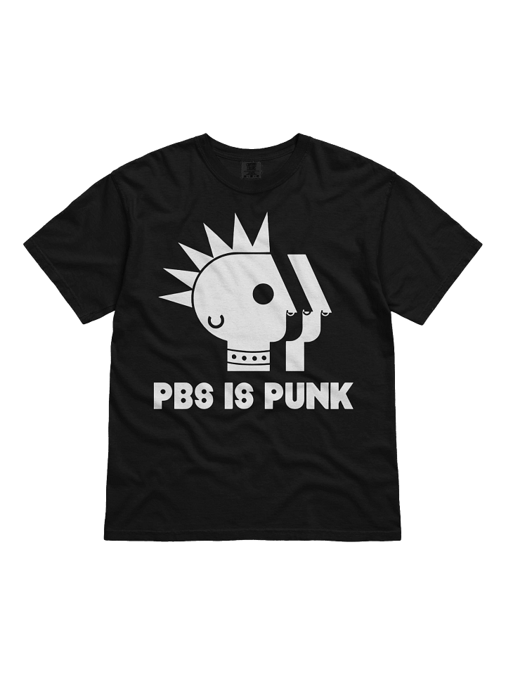 Two Crow Collective PBS Is Punk Shirt product image (1)