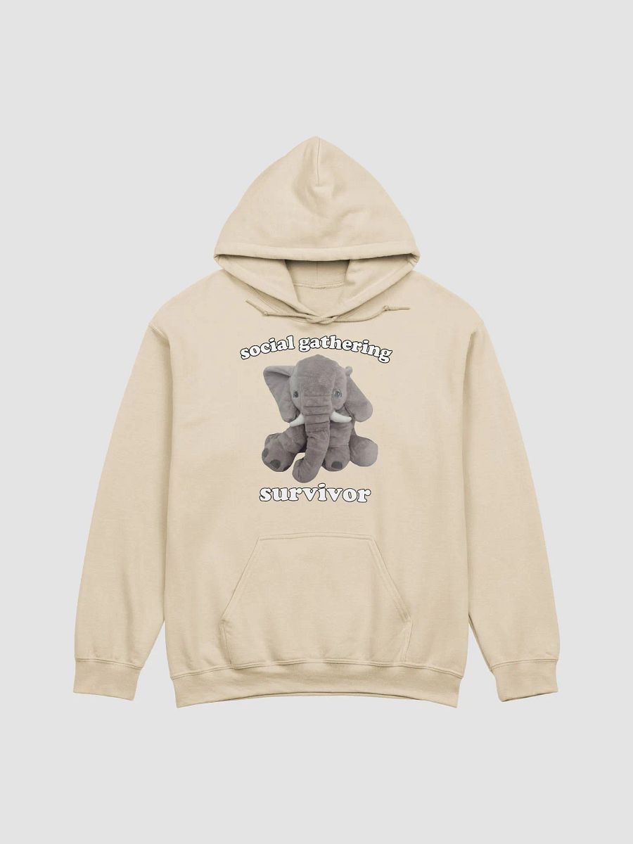 Social gathering survivor Hoodie product image (3)