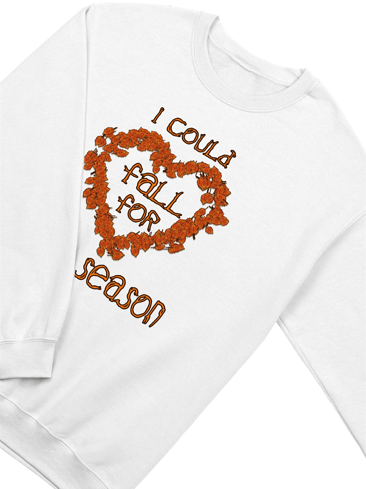 FALL SWEATSHIRT (D3) product image (14)